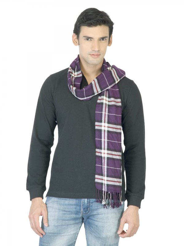Arrow Men Purple Check Scarf