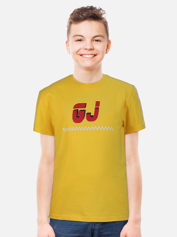Gini and Jony Boys Printed Round Neck Cotton T-shirt