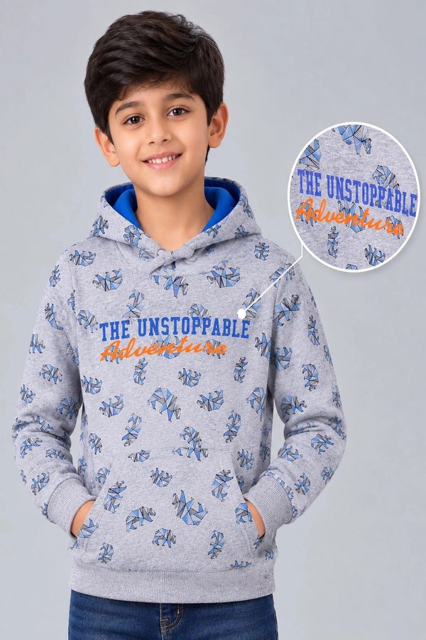 PLUM TREE Boys Printed Hooded Sweatshirt