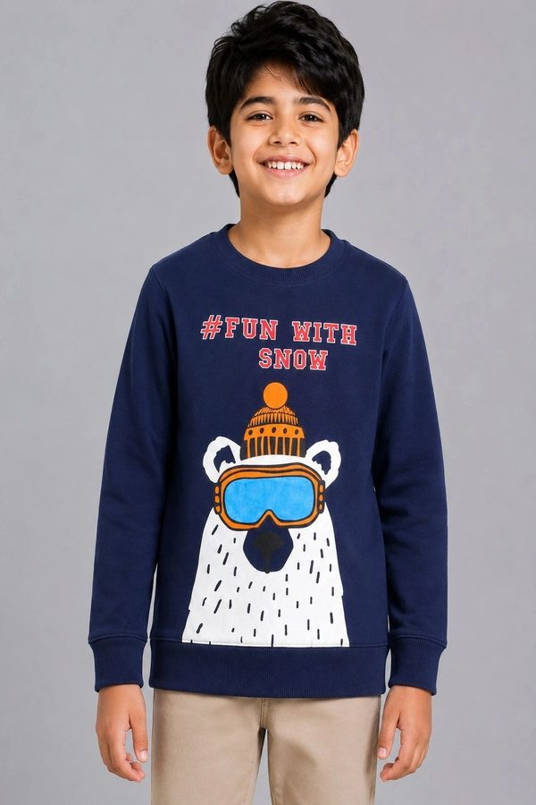 PLUM TREE Boys Printed Sweatshirt